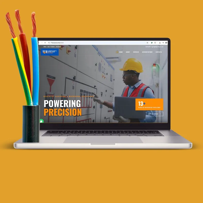 111 Gorges Pump & Control Panel Solutions website on a laptop, designed by Mansa Digital